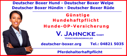 Deutscher-Boxer